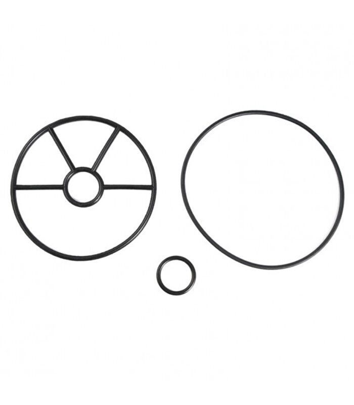 Astral / Hurlcon Cantabric Sand Filter 40mm Valve Spider Gasket Kit