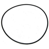 Zodiac Titan ZT650B Valve Lid / Cover Oring - MPV08